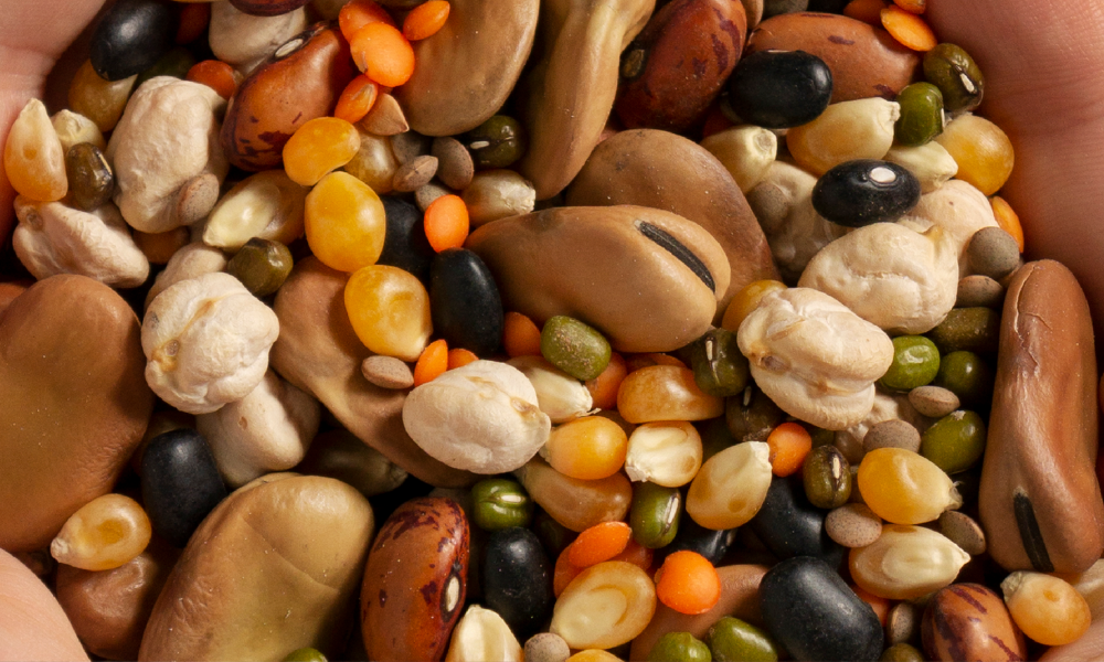 Health Hero - Pili Nuts Benefits