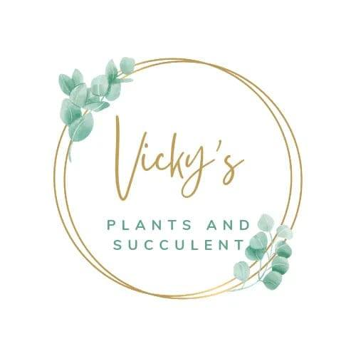 Vicky's Plant and Suculent